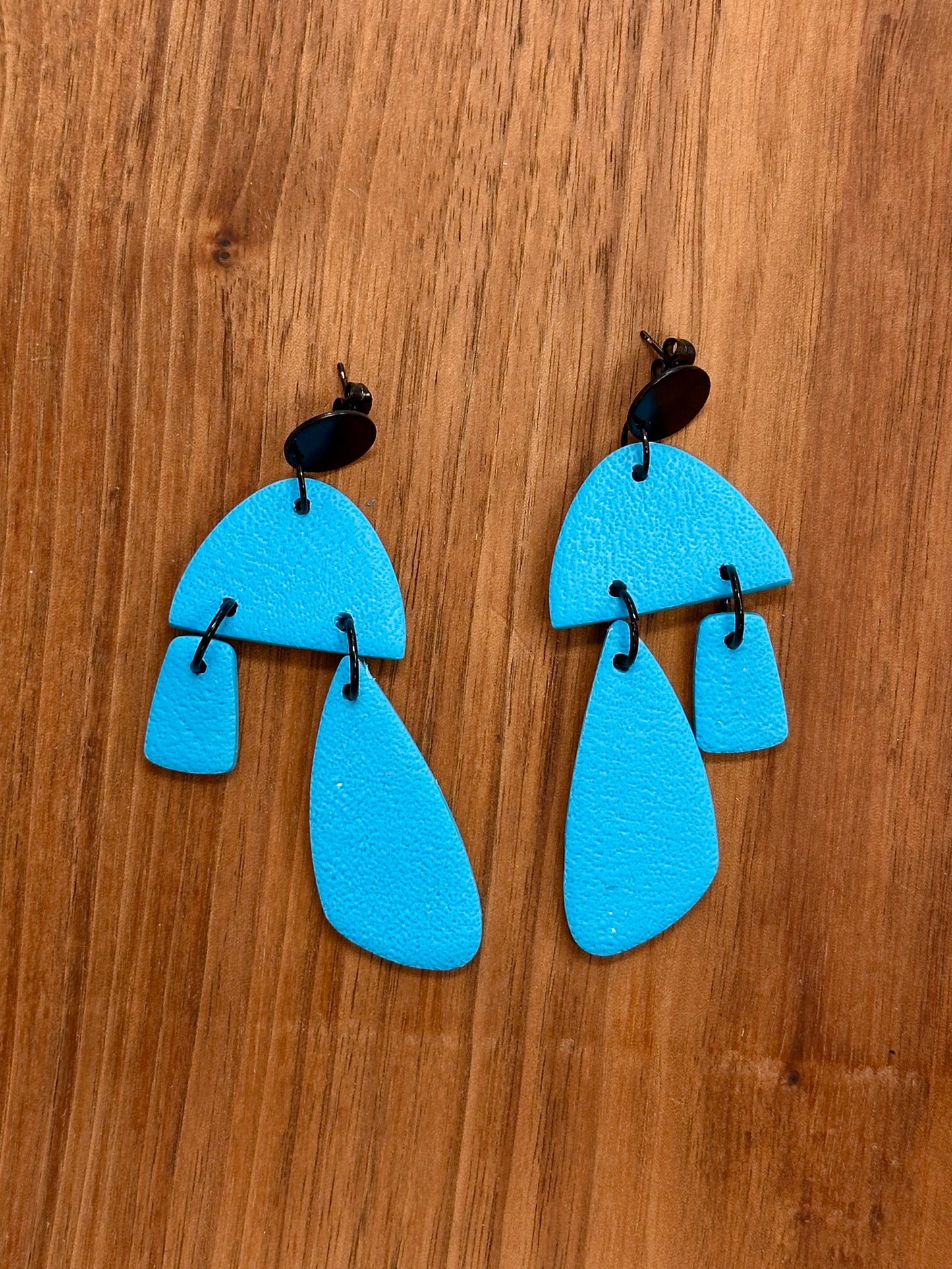 ShellyAnn Dangle Earrings